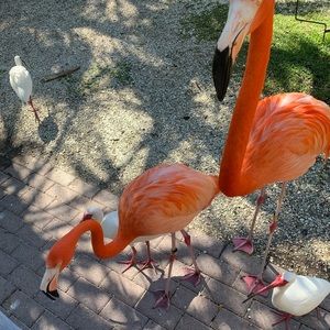 Meet your Posher, Chris-ann